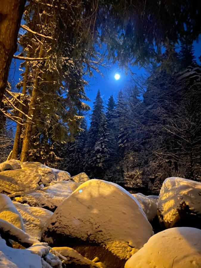 Resort Osrodek Wypoczynkowy Sudety *